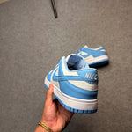 Tênis NK Dunk Blue