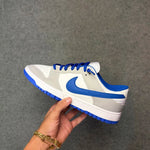 Tênis NK Dunk SB