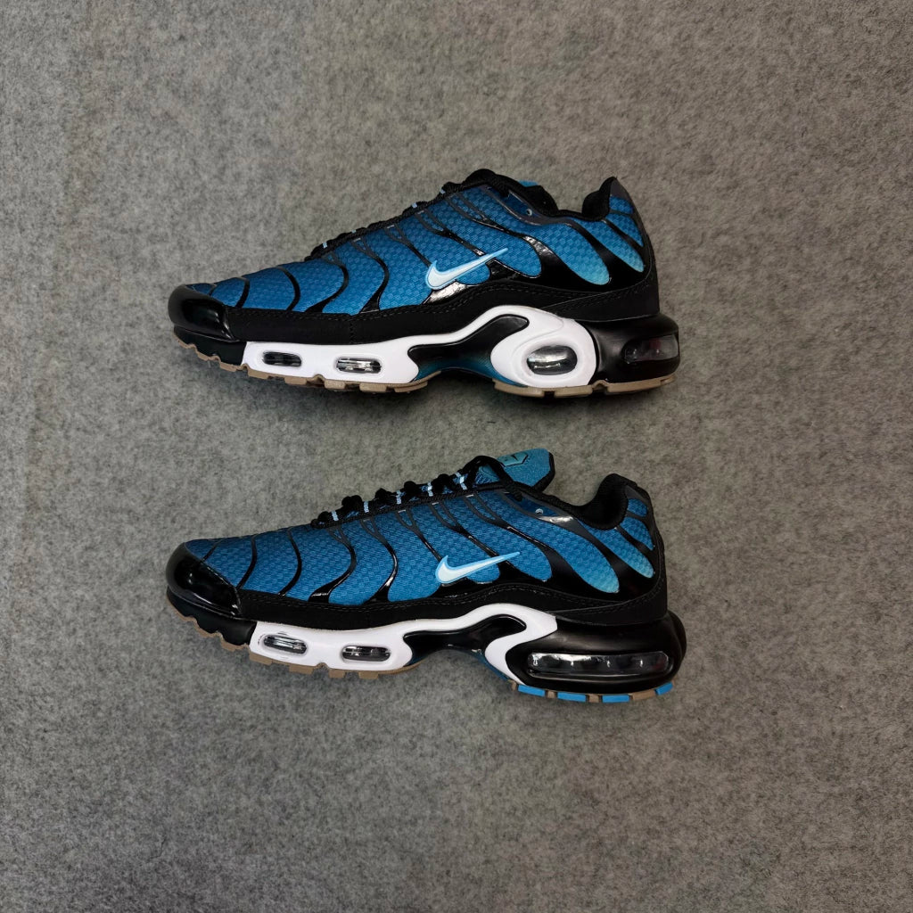 Air Max Tn Blue